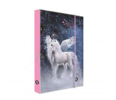 Box na zošity A4 Unicorn 1