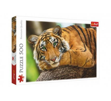 Puzzle Portrét tigra 500 dielikov