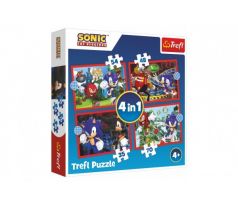 Puzzle 4v1 Sonic/Sonic The Hedgehog